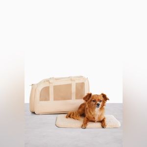 BEIS The Regulation Pet Carry-on in Beige